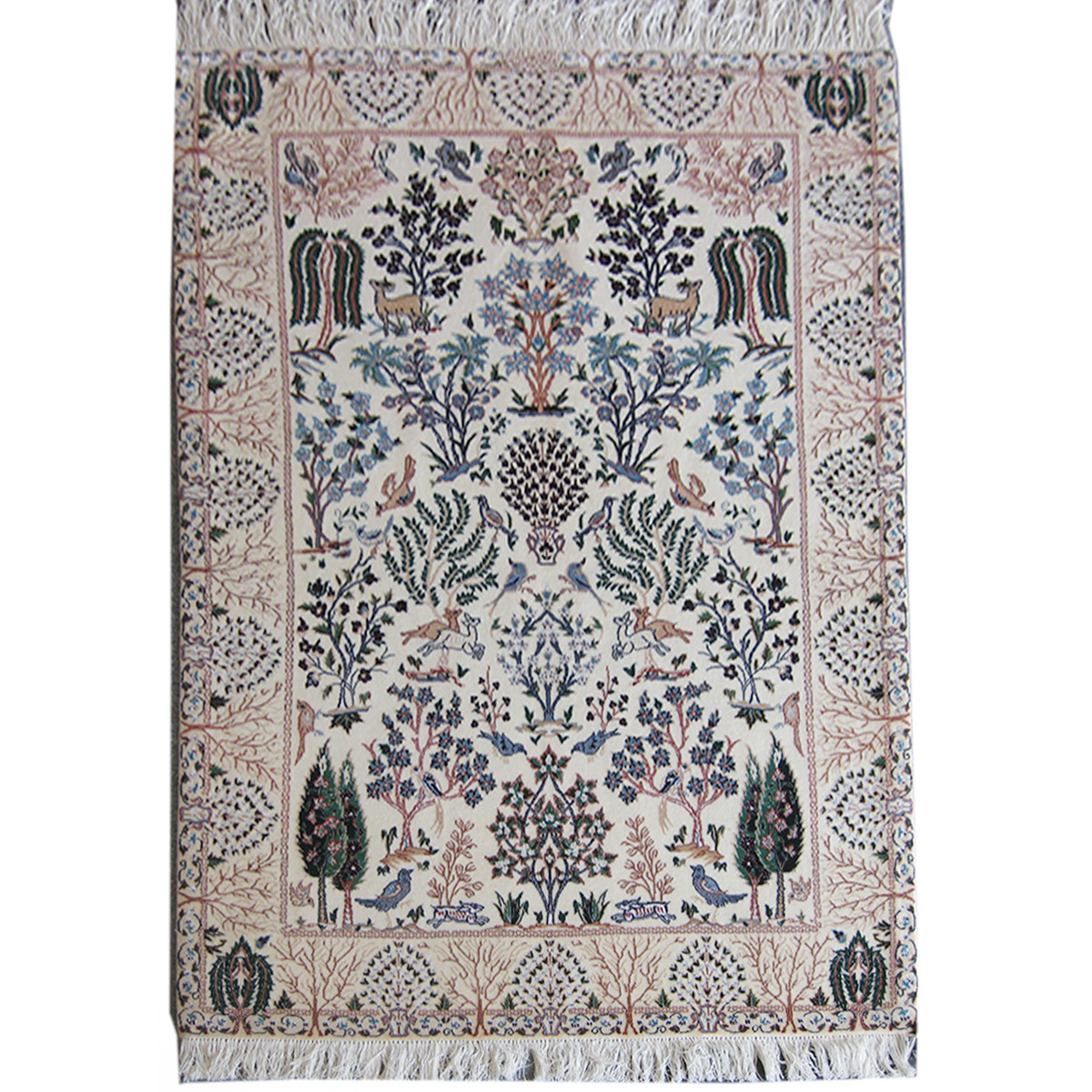 Flower Design Wool & Cotton Nain Persian Rug  -  RN5011